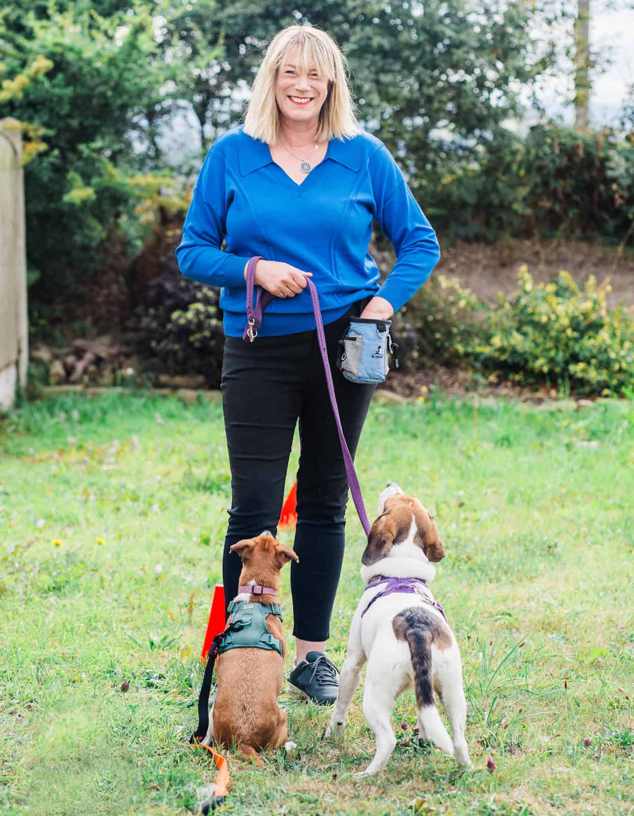 dog trainer Huddersfield, Mirfield, Kirkheaton, Lepton, Grange Moor, Flockton, Waterloo, Battyeford. West Yorkshire.