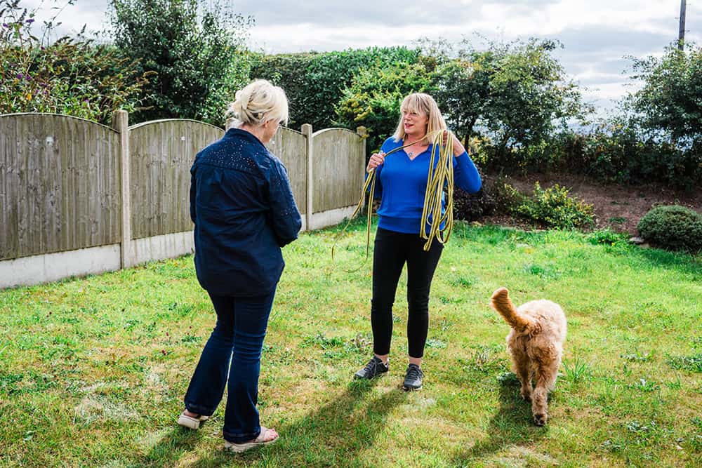 Dog training package Huddersfield, Mirfield, Kirkheaton, Lepton, Grange Moor, Flockton, Waterloo, Battyeford. West Yorkshire.