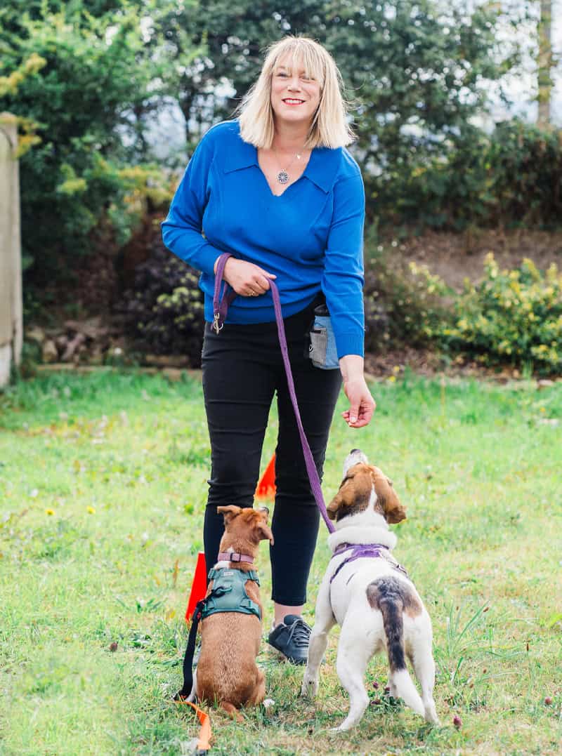 Puppy classes & dog training in Huddersfield, Yorkshire