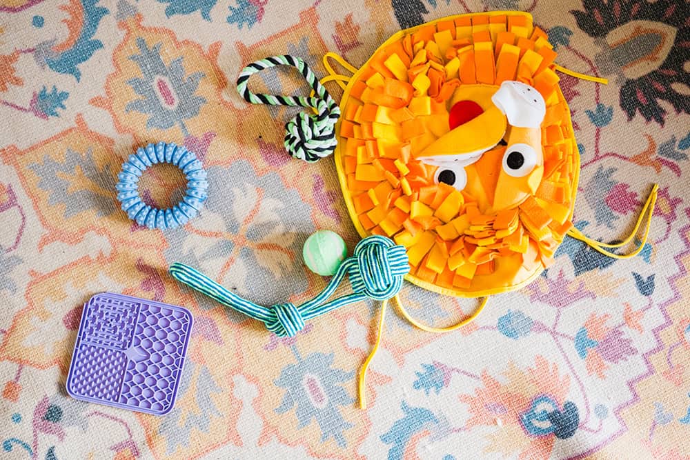 puppy training classes Huddersfield, Mirfield, Kirkheaton, Lepton, Grange Moor, Flockton, Waterloo, Battyeford. West Yorkshire.